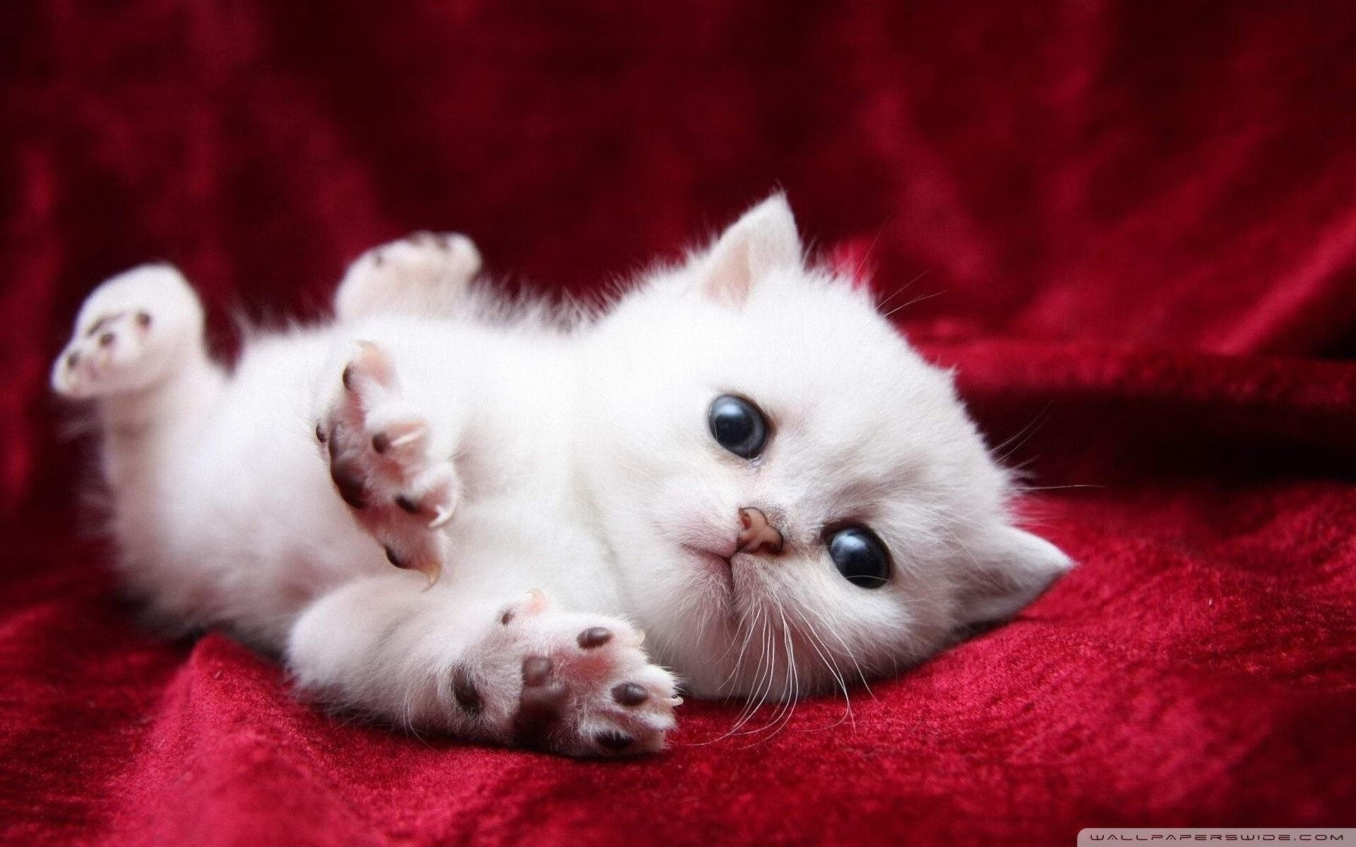 冰封药厂,接管街道,厄德高如何成为挪威体育的双线掌控者