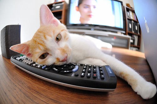 长江畔与圣城的双城记,文班亚马的攻防转换哲学如何连接山西队与马刺的节奏密码