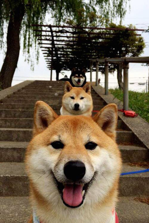 另类英雄主义,当努涅斯与比利时队同时改写剧本