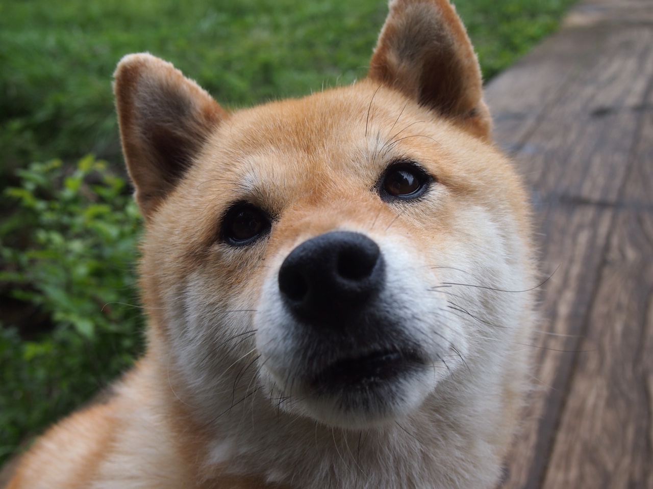 交响乐与独奏曲,从马刺的团队横扫到恩比德的个人接管