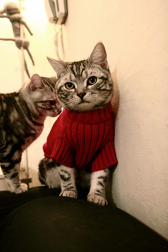 开云官网-收割时刻，当英格拉姆的冷兵器划破纽约的喧嚣