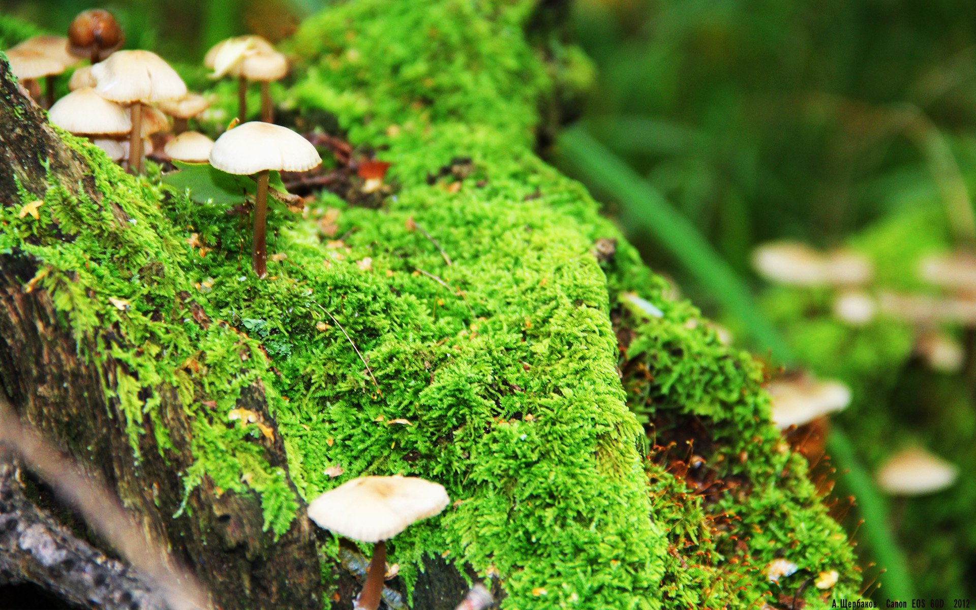 若日尼奥的远射与哈达迪的助攻,当体育按下跨界换台键