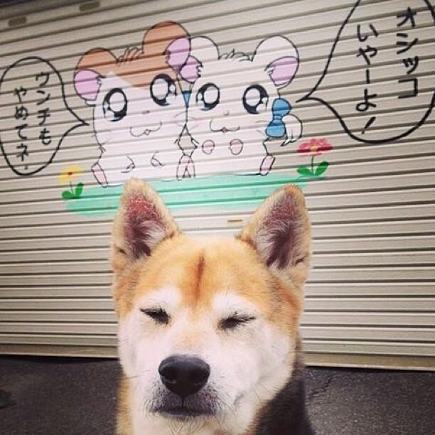 东瀛精密 vs 安纳托利亚风暴,阿劳霍—攻防转换的隐形枢纽