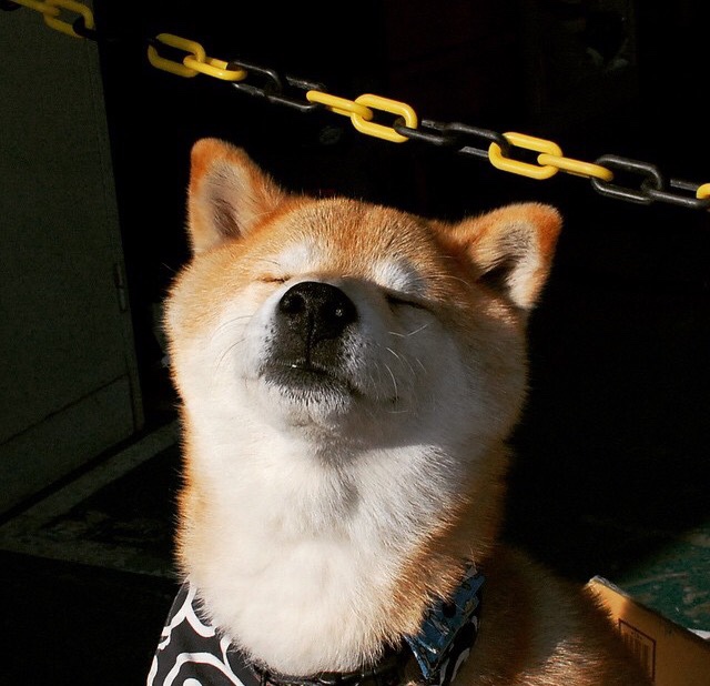 秒针拨快四分钟,当锡安用无言的暴烈提前吹散终场烟尘