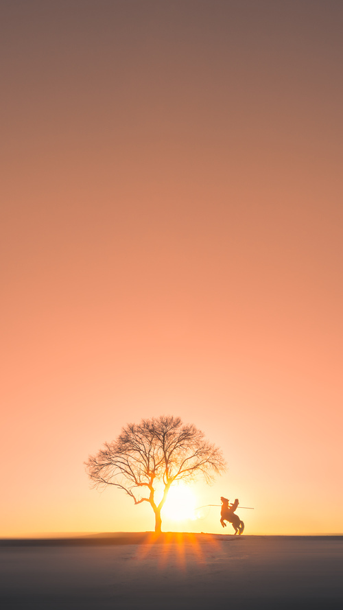 当胜利者成为背景板，勇士与文班亚马的双输博弈