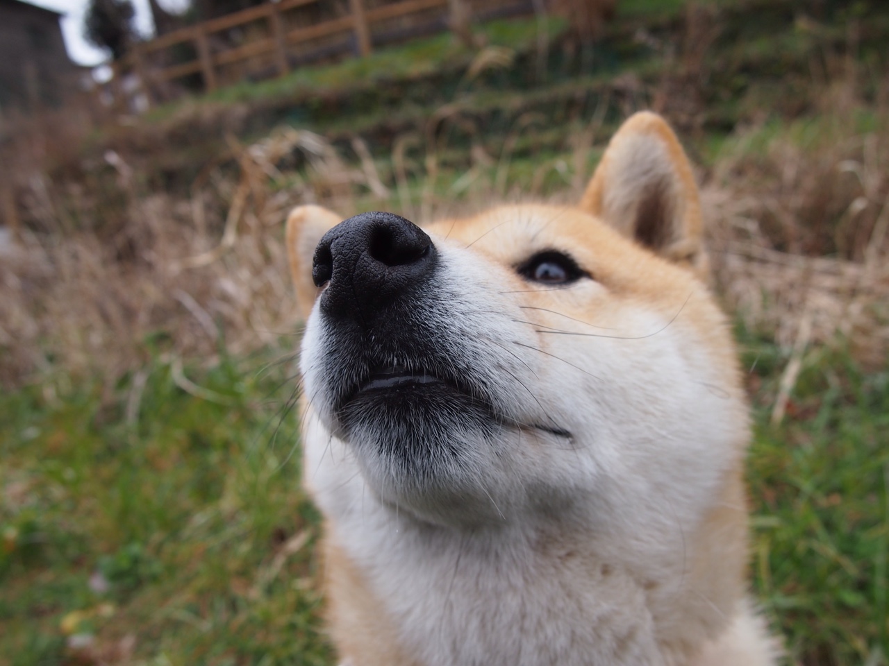 唯一的卫冕者,欧冠决赛之夜,福登用实力完成加冕