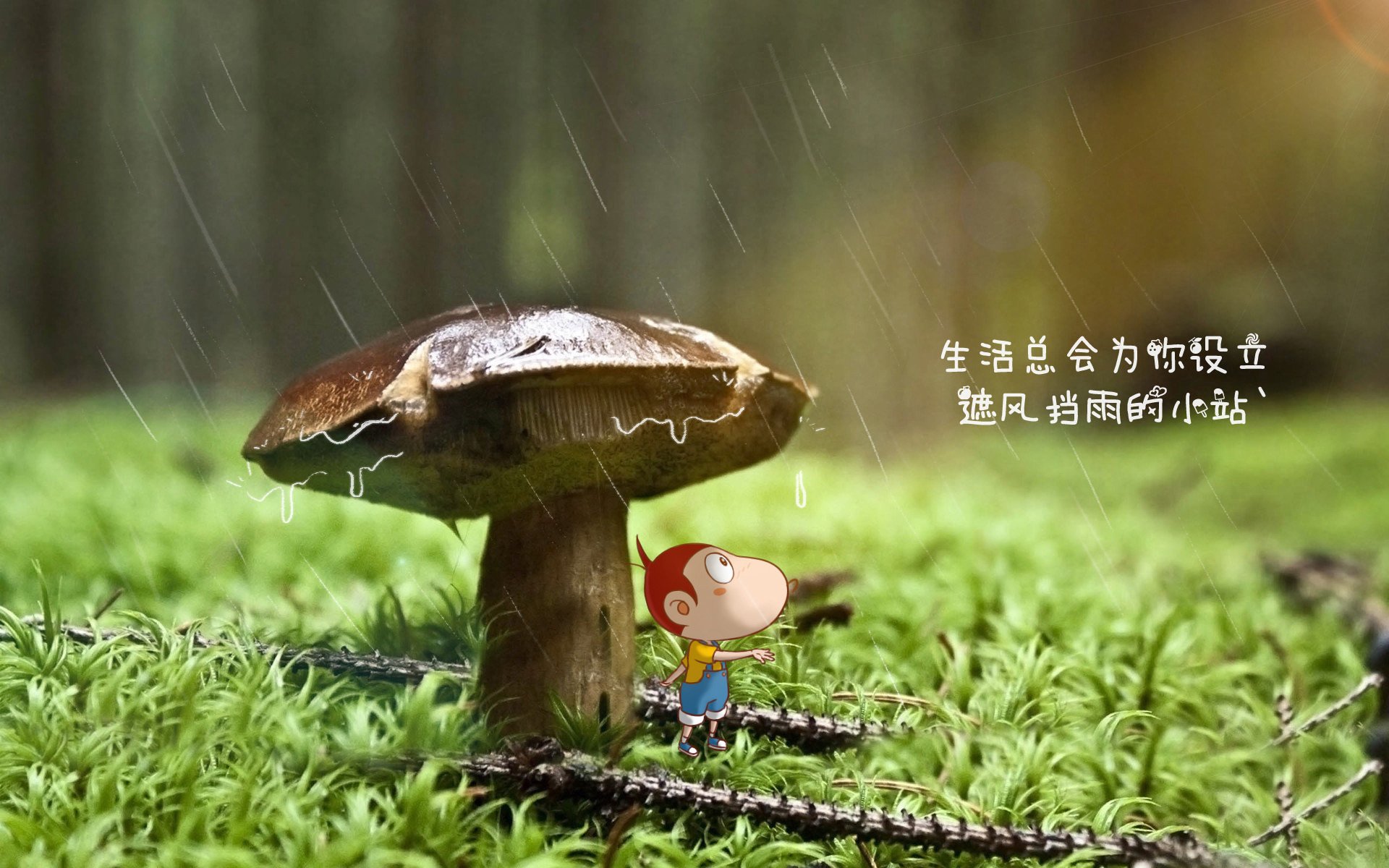 烈火与白鹰的博弈,迪亚斯如何用默契之匙,解锁B组唯一结局